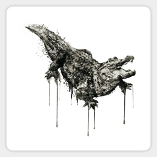 Alligator Black and White Magnet